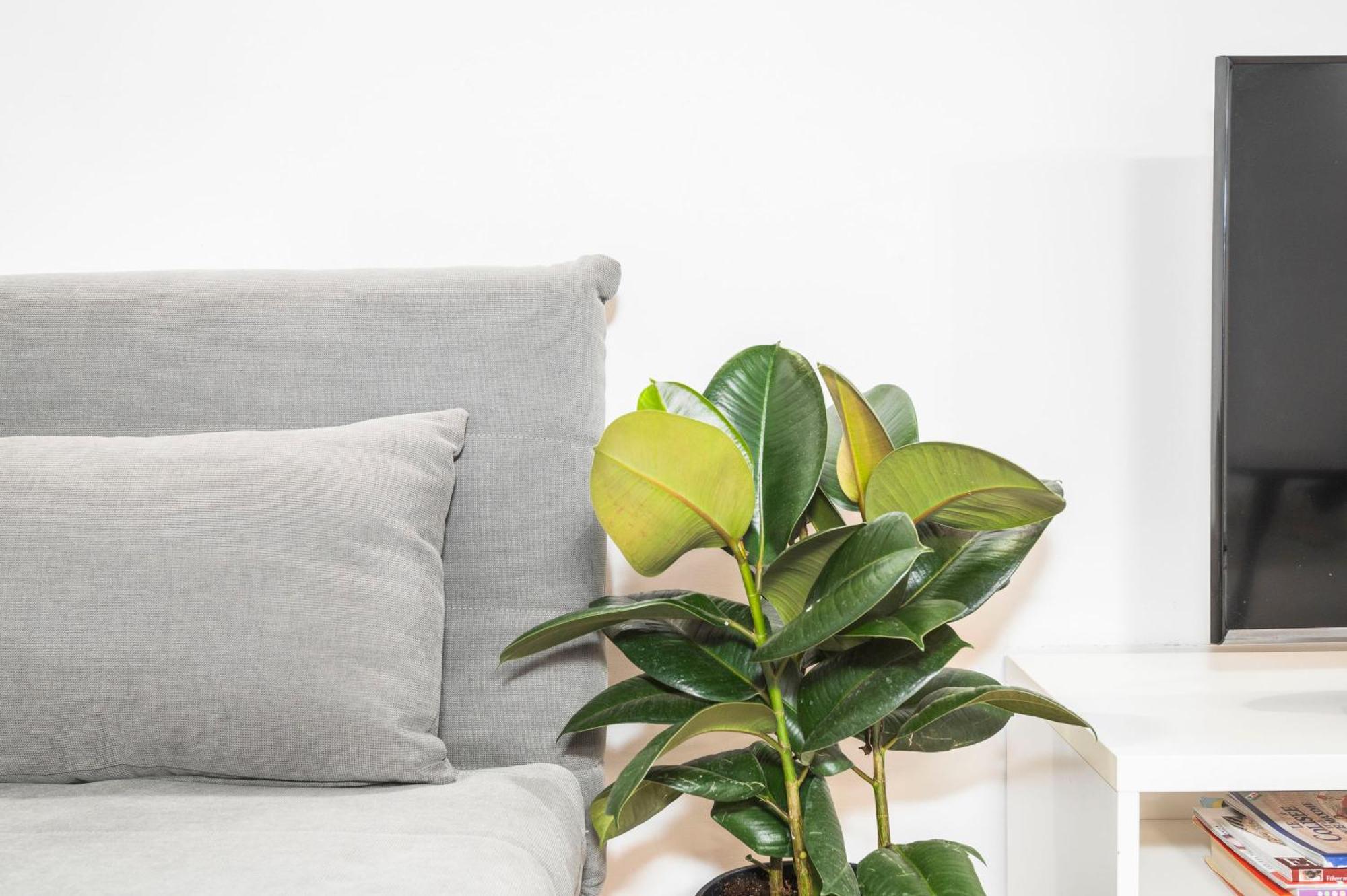 Suites Campo De' Fiori - Zen18-19-20 Roma Ngoại thất bức ảnh