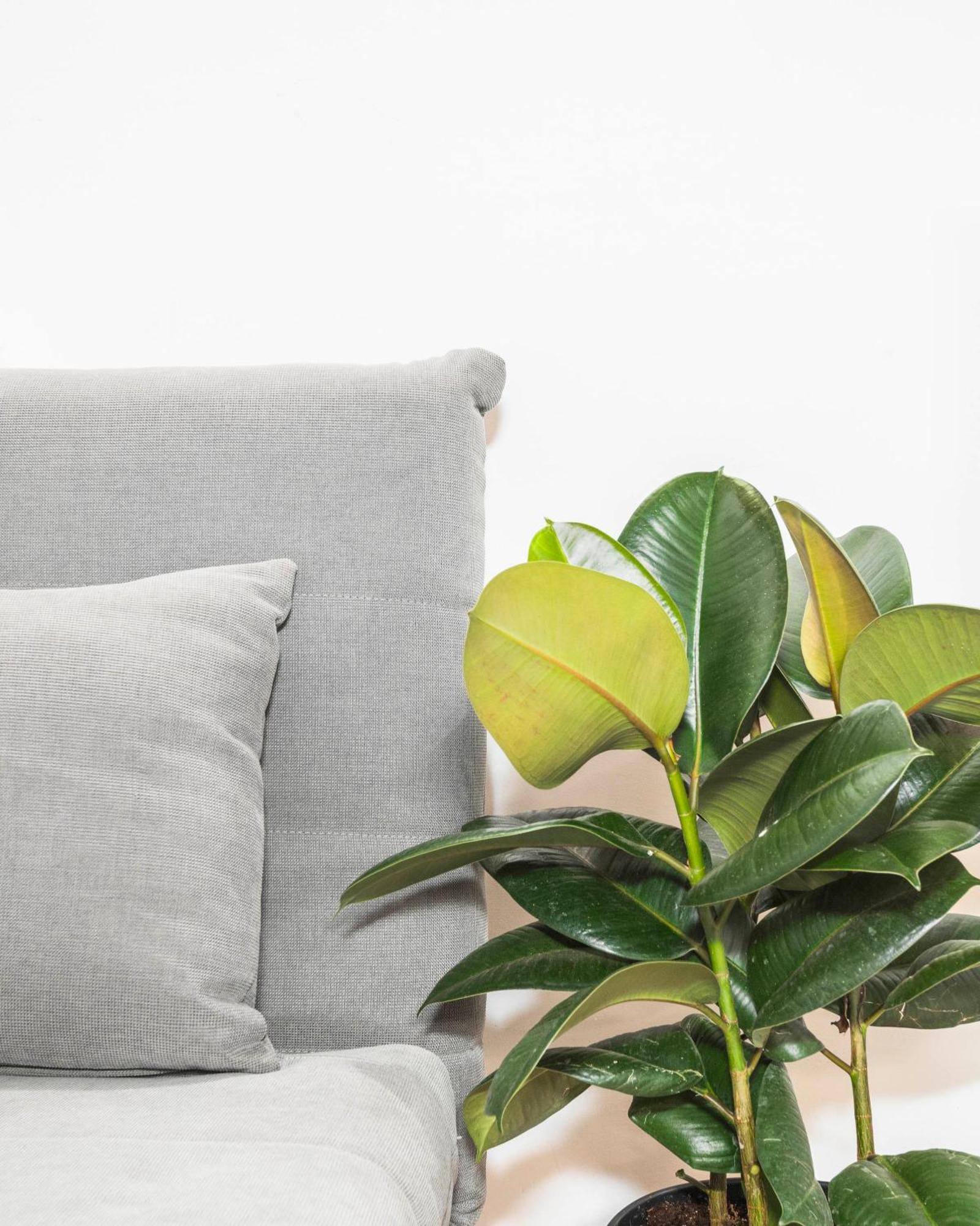 Suites Campo De' Fiori - Zen18-19-20 Roma Ngoại thất bức ảnh